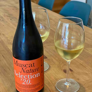 MUSCAT NATURE IGP MER EGEE - Nopera - yannis-kostakis-vaggelis-mytilinaios -2019