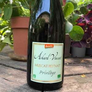 Muscat Pet Nat "Privilège" - Achard-Vincent - thomas-achard