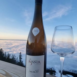 Muscat - Domaine Christian Binner - christian-binner-et-son-equipe