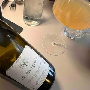 Muscat Sec Des Roumanis - Le Petit Domaine de Gimios - anne-marie-lavaysse