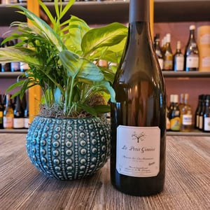 Muscat Sec Des Roumanis - Le Petit Domaine de Gimios - anne-marie-lavaysse