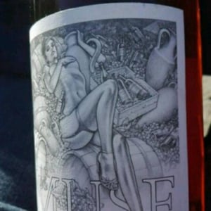 Muse - Domaine de L'Ecu - Claire & Fred NIGER 