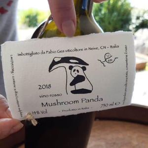 Mushroom Panda - Azienda Agricola Fabio Gea - Fabio Gea 