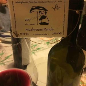 Mushroom Panda - Azienda Agricola Fabio Gea - Fabio Gea 