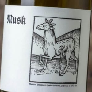 Musk - Barranco Oscuro - Manuel & Lorenzo Valenzuela 