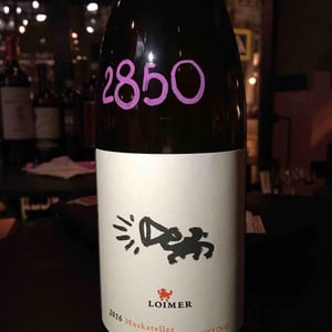 Muskateller Mit Achtung - Weingut Fred Loimer - fred-loimer