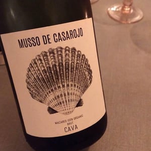 Musso De Casarojo - Casarojo - casarojo