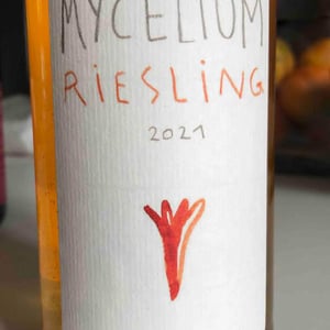 Mycelium - Mycélium - arthur-joskin-gentiane-angeli -2021