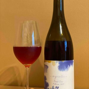 Myosotis - 1006 Vins de Loire - pauline-lair