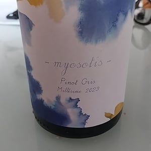 Myosotis - 1006 Vins de Loire - Pauline Lair 