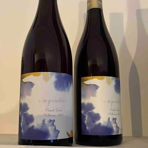 Myosotis - 1006 Vins de Loire - pauline-lair