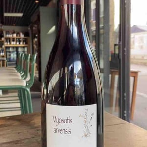 Myosotis Arvensis - Domaine Henri Naudin-Ferrand - claire-naudin