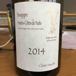 Myosotis Arvensis - Domaine Henri Naudin-Ferrand - claire-naudin