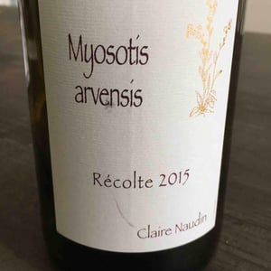 Myosotis Arvensis - Domaine Henri Naudin-Ferrand - claire-naudin