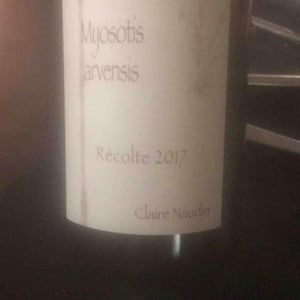 Domaine Henri Naudin-Ferrand - Claire Naudin - Myosotis Arvensis