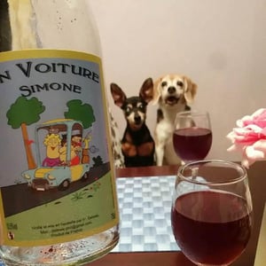 N Voiture Simone - Delmée Martin - Philippe Delmée & Aurélien Martin 