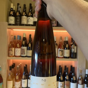 N.3 - VNA - fiori-uberto-alessandro-e-federico -2017