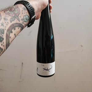 N. 4 - VNA - fiori-uberto-alessandro-e-federico -2019