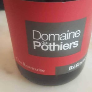 Domaine des Pothiers - Denise, Georges & Romain Paire - N°6