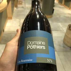 N°6 - Domaine des Pothiers - denise-georges-romain-paire