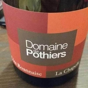 N°6 - Domaine des Pothiers - Denise, Georges & Romain Paire 