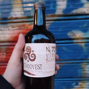 N°73 - Viteadovest - vincenzo-angileri-qu