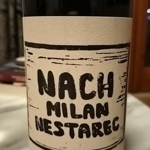 Milan Nestarec - Milan Nestarec - Nach