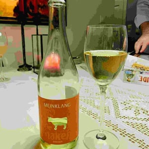 Naken - Meinklang - Weingut Michlits - angela-werner-michlits