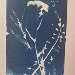 Nativ - Weingut Schloss Wehrburg - Stefan Holzner