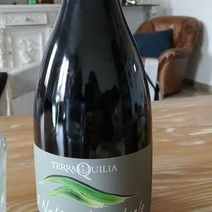 Nativo L'ancestrale - TerraQuilia Società Agricola S.S. - romano-giorgia-mattioli