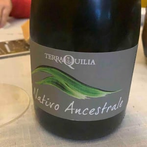 Nativo L'ancestrale - TerraQuilia Società Agricola S.S. - romano-giorgia-mattioli
