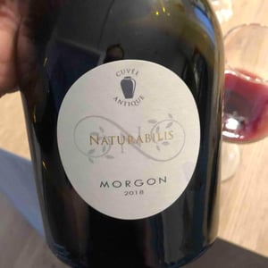 Naturabilis Cuvée Antique - Colonat-St Joseph - colonat