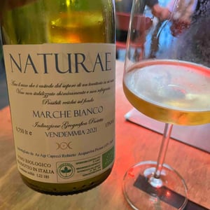 Naturae - Roberto Capecci - Roberto Capecci -2022