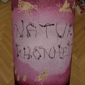 Naturschönheit - Weingut Hareter Thomas - claudia-thomas-hareter