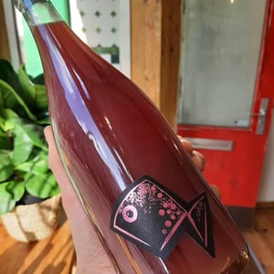 Natural Bubbles Rosé - Gordia - andrej-cep