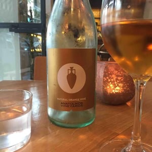 Natural Orange Wine - Anatolikos Vineyards - Sakis & Marios Nikolaidis 