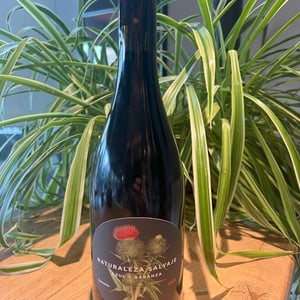 Naturaleze Salvaye Tinto - Azul y Garanza - dani-sanchez-maria-fernando-barrena