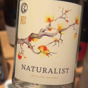 Naturalist - Cambridge Road Vineyard - Lance Redgwell 