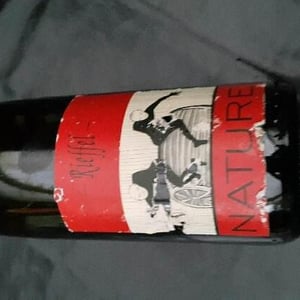 Lucas & André Rieffel - Lucas Rieffel - Pinot Noir Nature