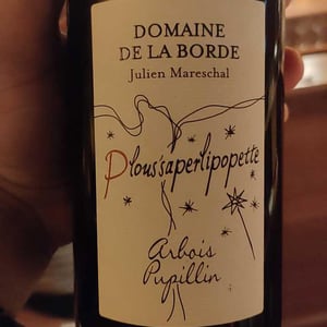 Naturé Foudre à Canon - Domaine de la Borde - julien-mareschal