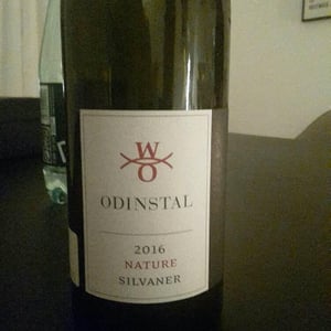 Nature Silvaner - Weingut Odinstal - thomas-hensel-andreas-schumann
