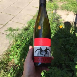 Pinot Noir Nature - Lucas & André Rieffel - Lucas Rieffel 