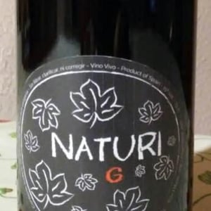 Naturi G - Vinos Naturi - Raúl Calle y Laura Piñas 