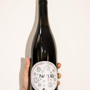 Naturi T - Vinos Naturi - raul-calle-y-laura-pinas