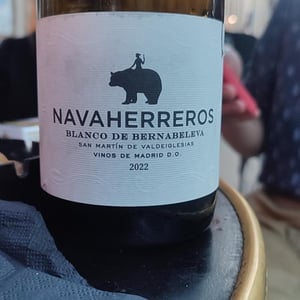 Navaherreros blanco - Bernabeleva - miguel-maestre-chimeno-juan-diez-bulnes