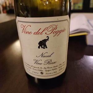 Navel - Vino del Poggio - Andrea Cervini 