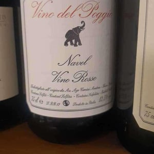 Navel - Vino del Poggio - andrea-cervini