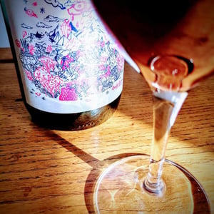 NDD Nectar Des Dieux Rouge - Mas del Périé - fabien-jouves