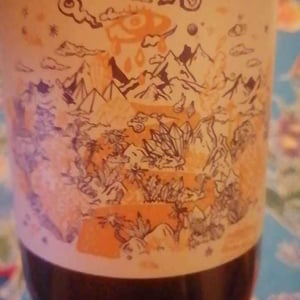 Mas del Périé - Fabien Jouves - NDD Nectar Des Dieux Pinot Noir