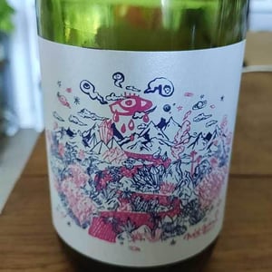 Mas del Périé - Fabien Jouves - NDD Nectar Des Dieux Pinot Noir